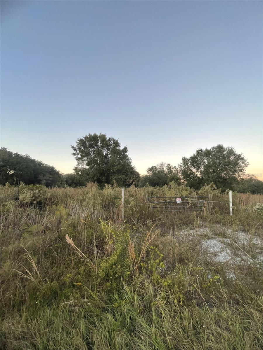 SOUTHERN COLONIZATION CO - Land