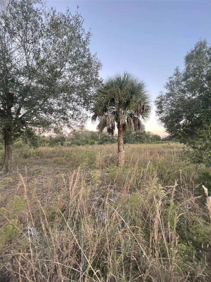 SOUTHERN COLONIZATION CO - Land