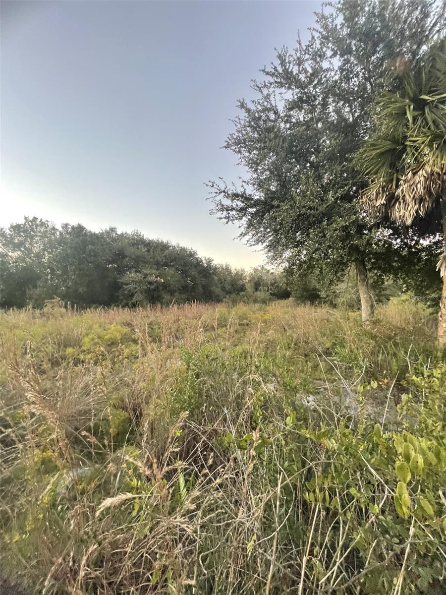 SOUTHERN COLONIZATION CO - Land