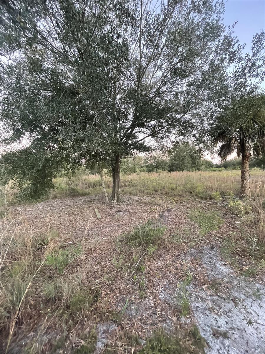 SOUTHERN COLONIZATION CO - Land