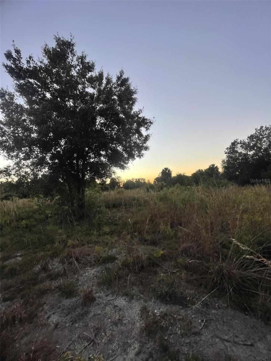 SOUTHERN COLONIZATION CO - Land