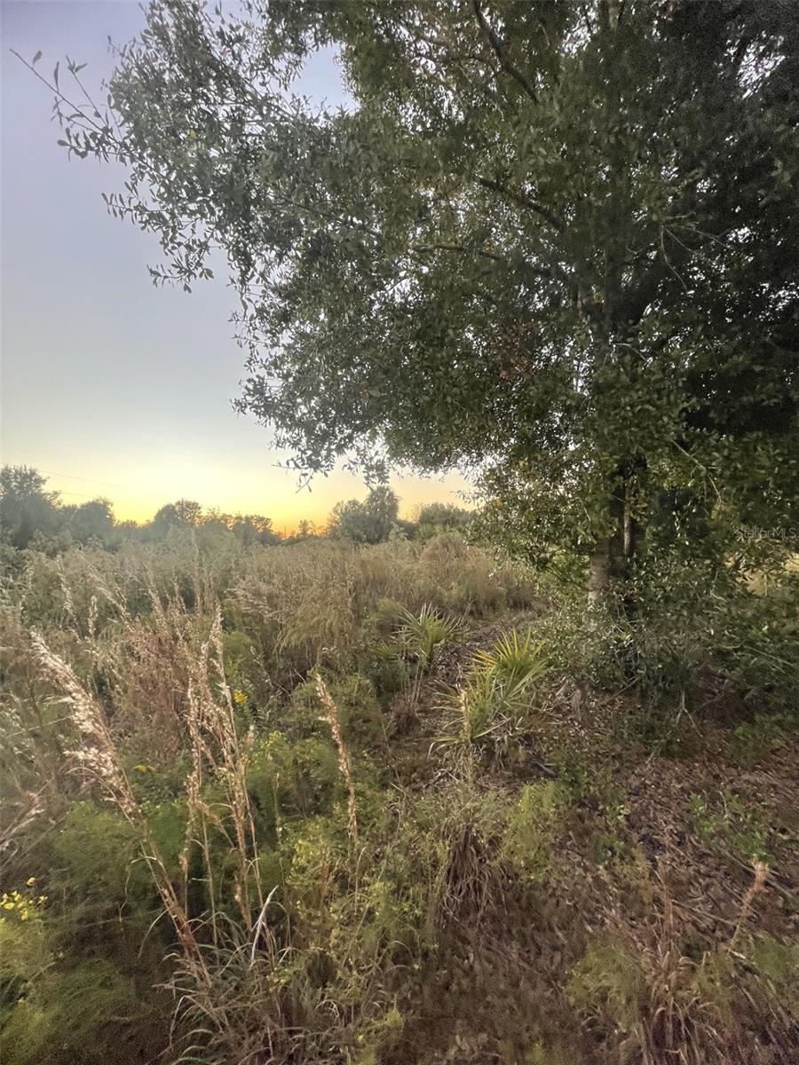 SOUTHERN COLONIZATION CO - Land