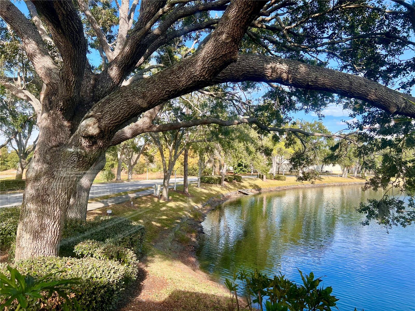 TREETOPS AT NORTH 40 - ONTARIO - Residential