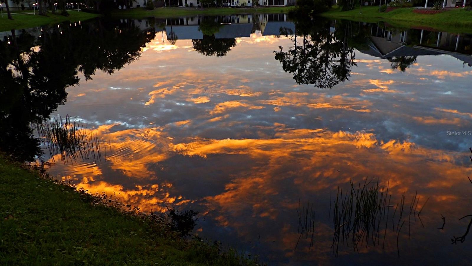 TREETOPS AT NORTH 40 - ONTARIO - Residential