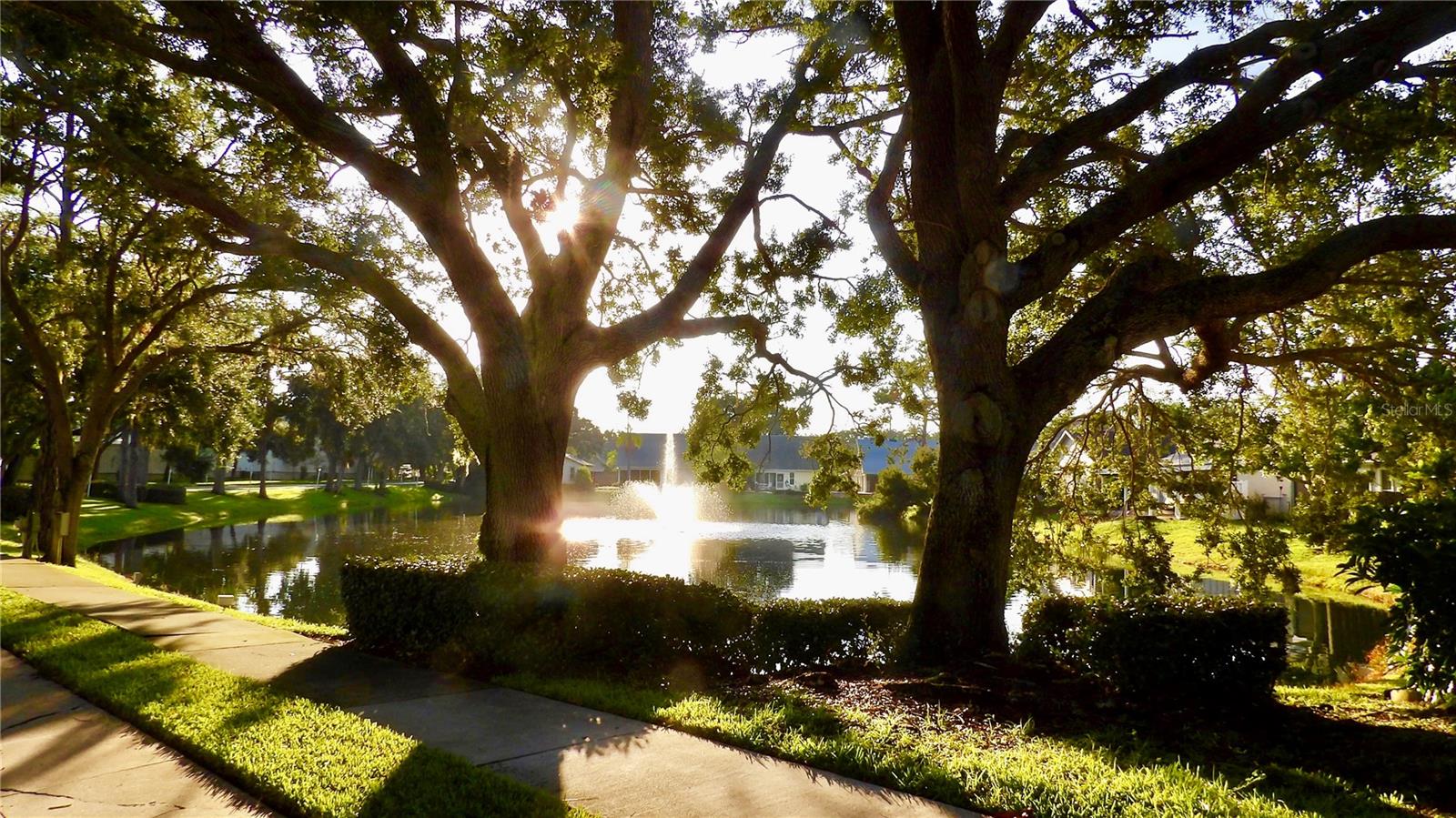 TREETOPS AT NORTH 40 - ONTARIO - Residential