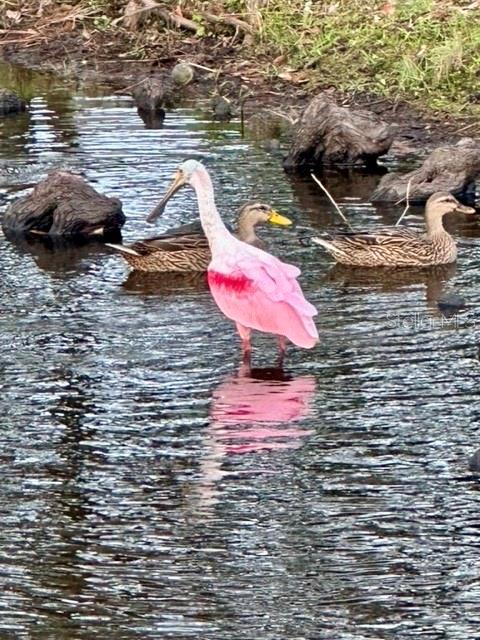 TREETOPS AT NORTH 40 - ONTARIO - Residential