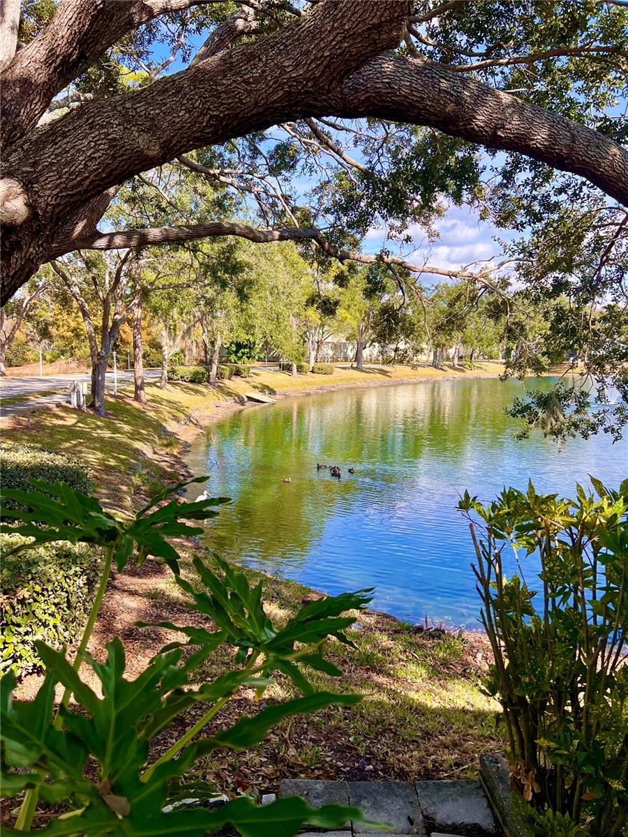 TREETOPS AT NORTH 40 - ONTARIO - Residential