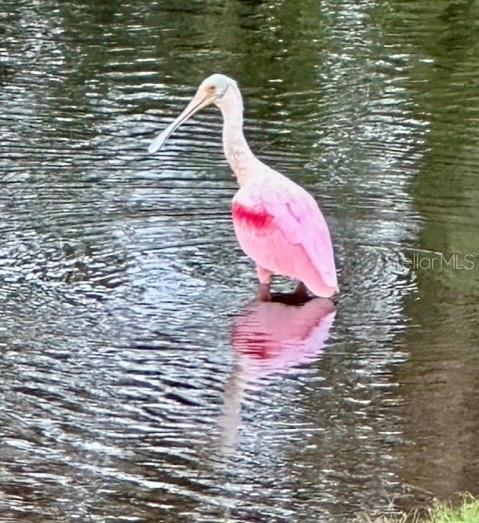 TREETOPS AT NORTH 40 - ONTARIO - Residential