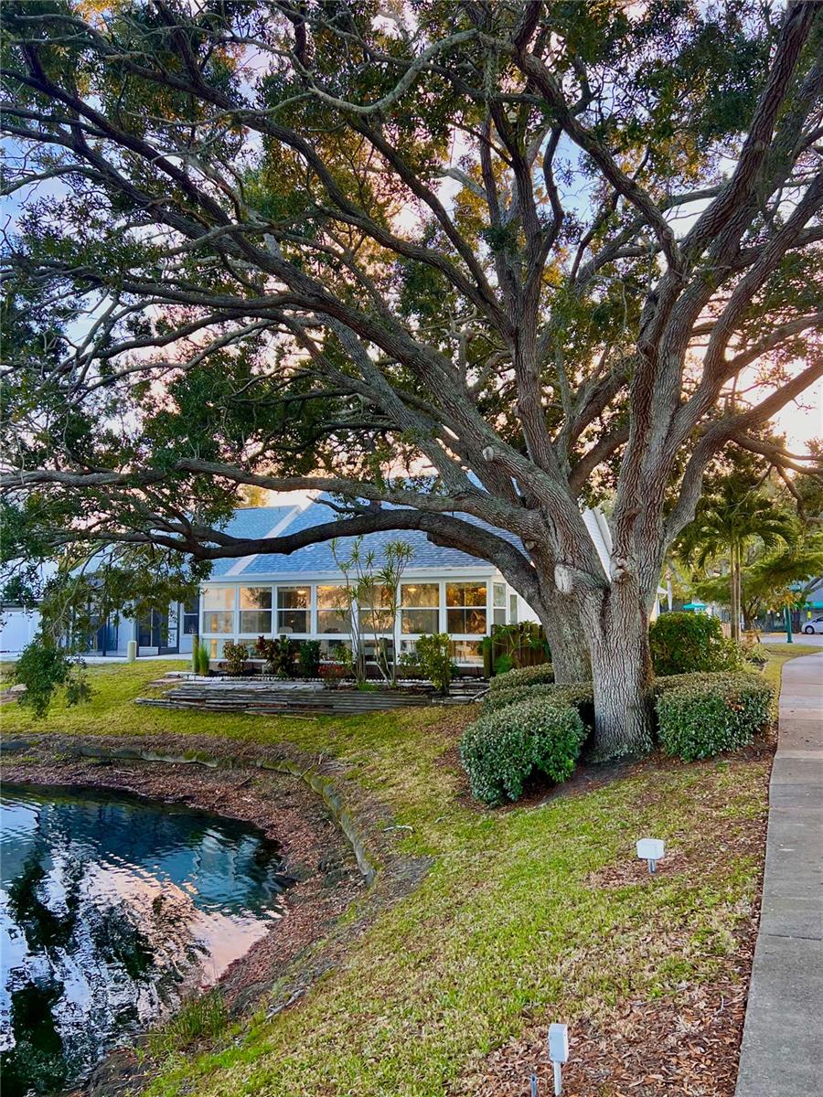 TREETOPS AT NORTH 40 - ONTARIO - Residential