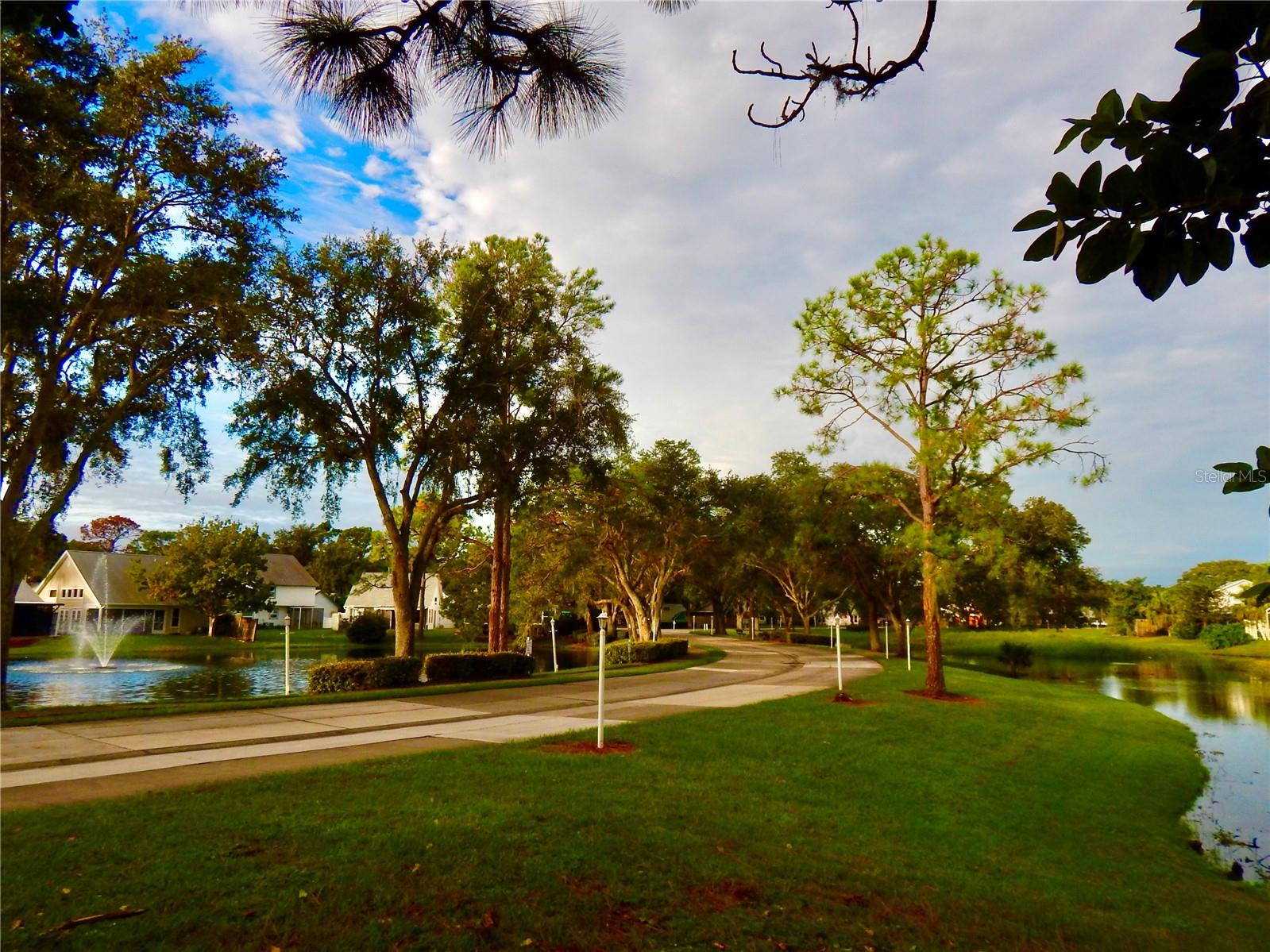 TREETOPS AT NORTH 40 - ONTARIO - Residential