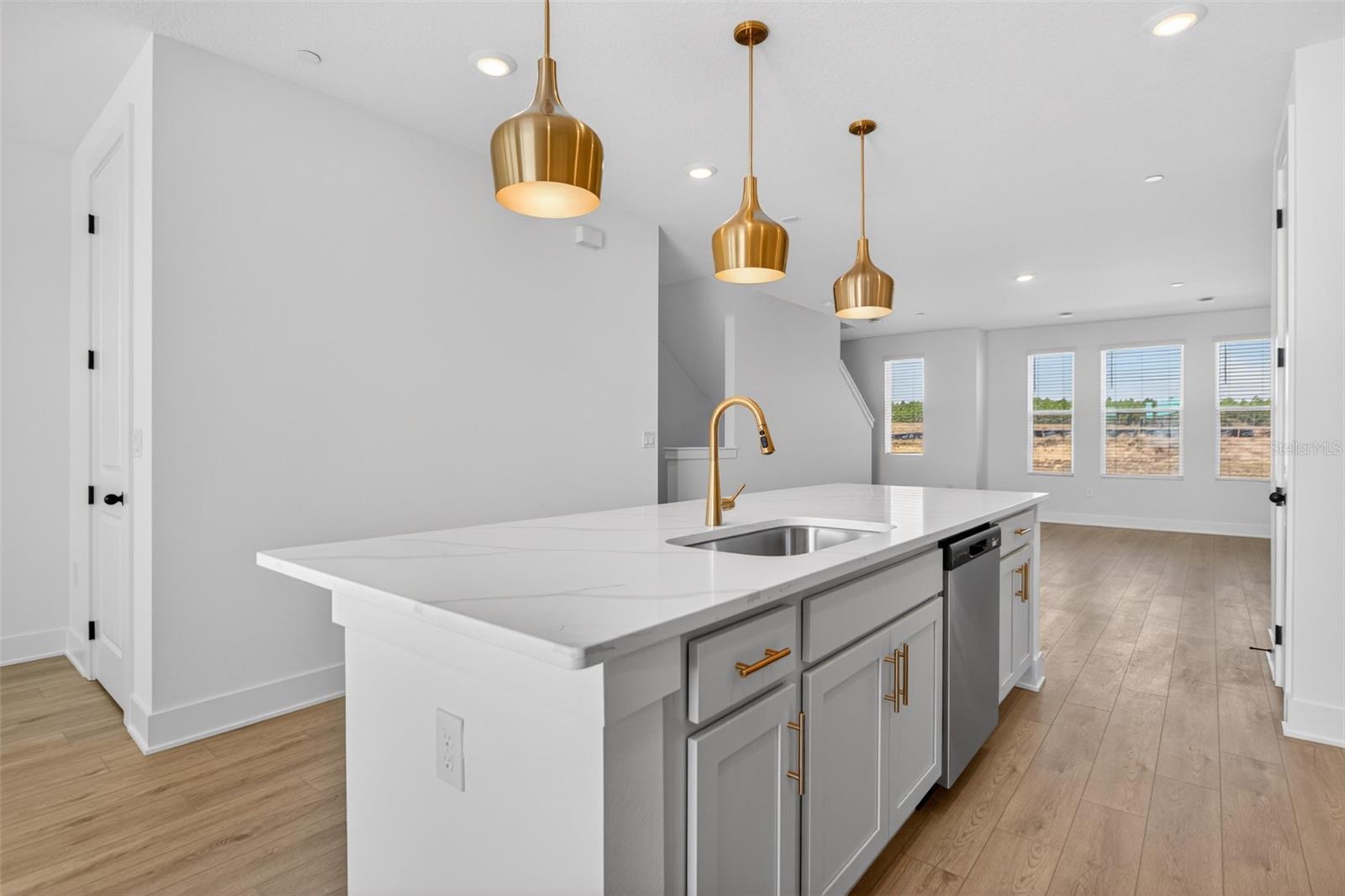 PARKVIEW/HAMLIN - Residential