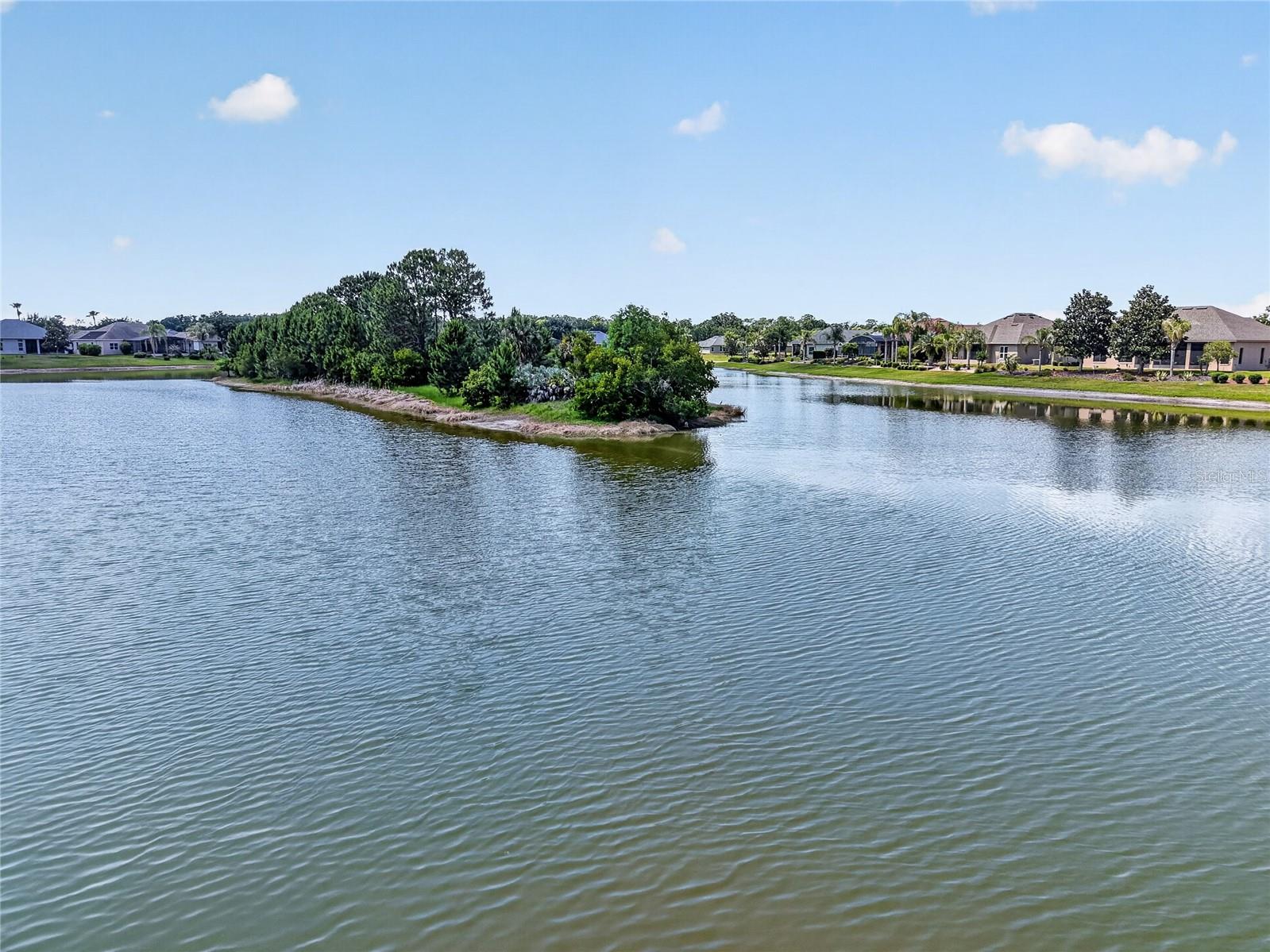 LAKES OF MOUNT DORA - Residential