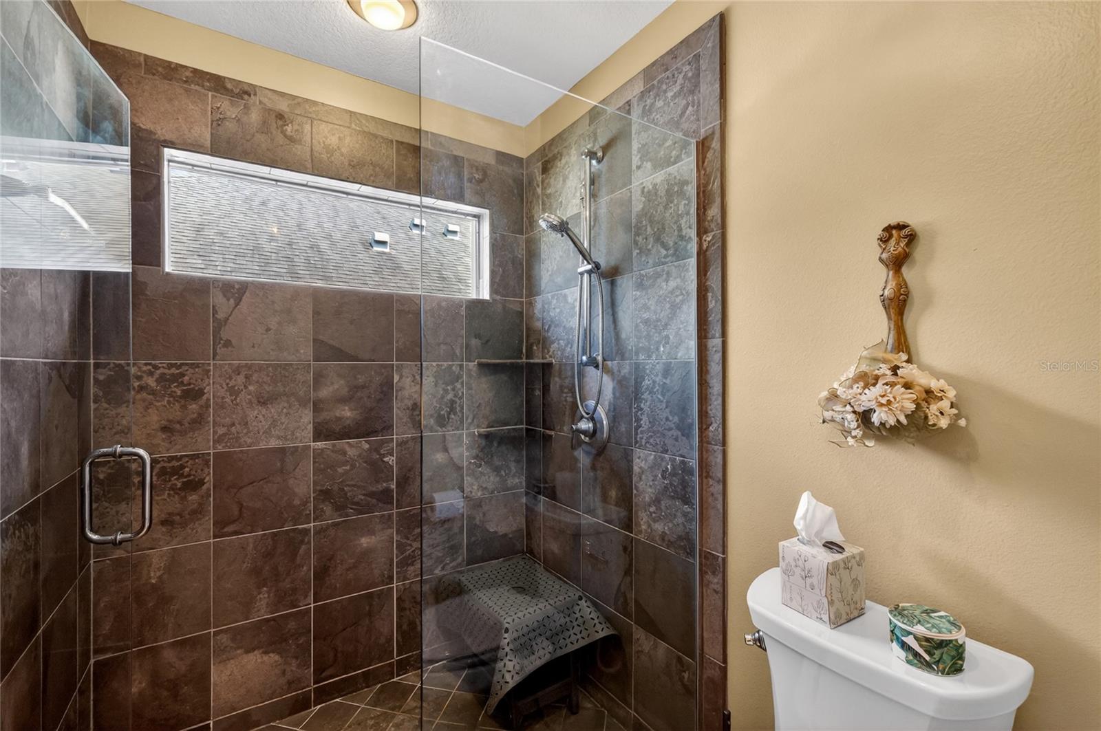 LAKES OF MOUNT DORA - Residential