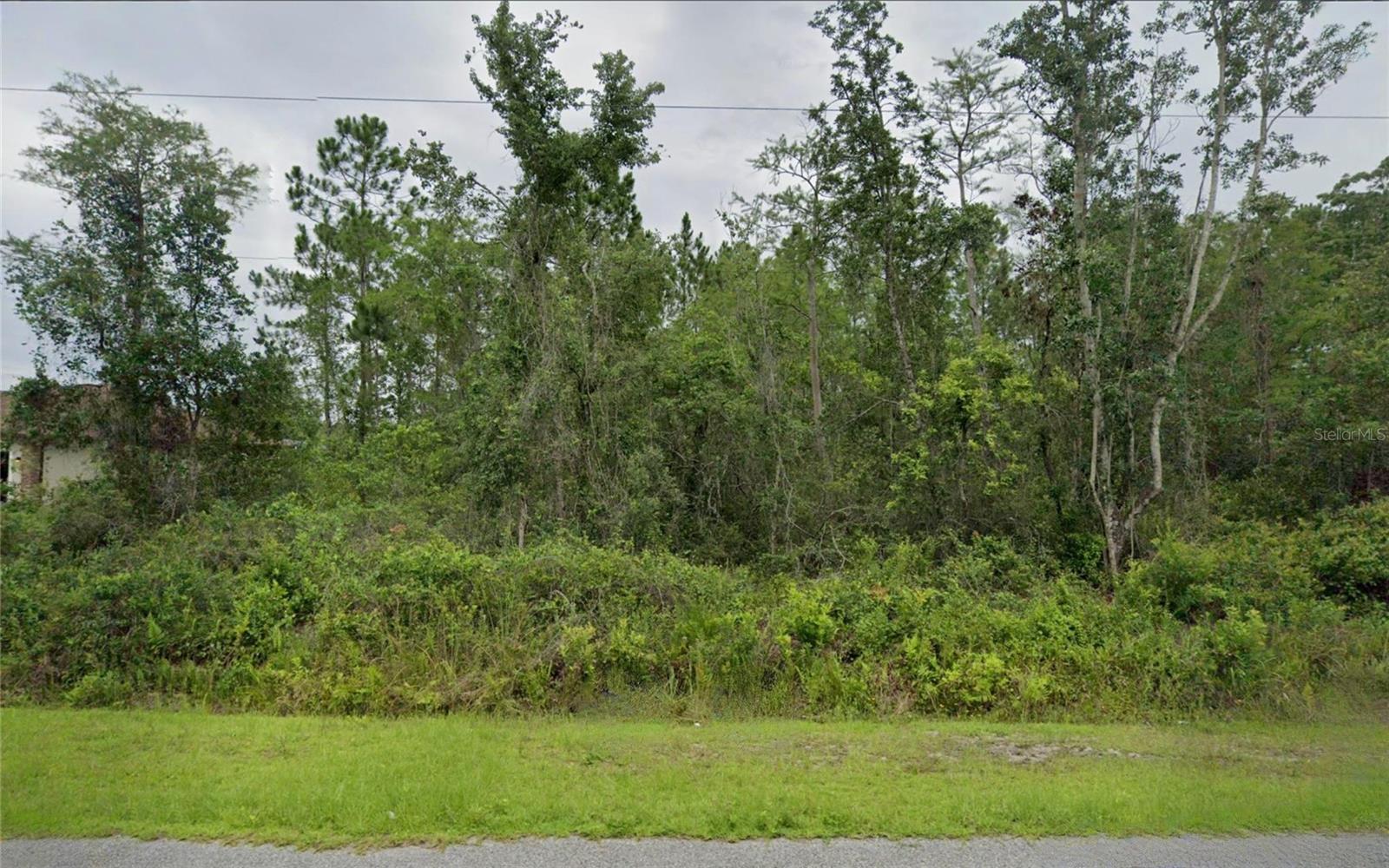 CAPE ORLANDO ESTATES - Land