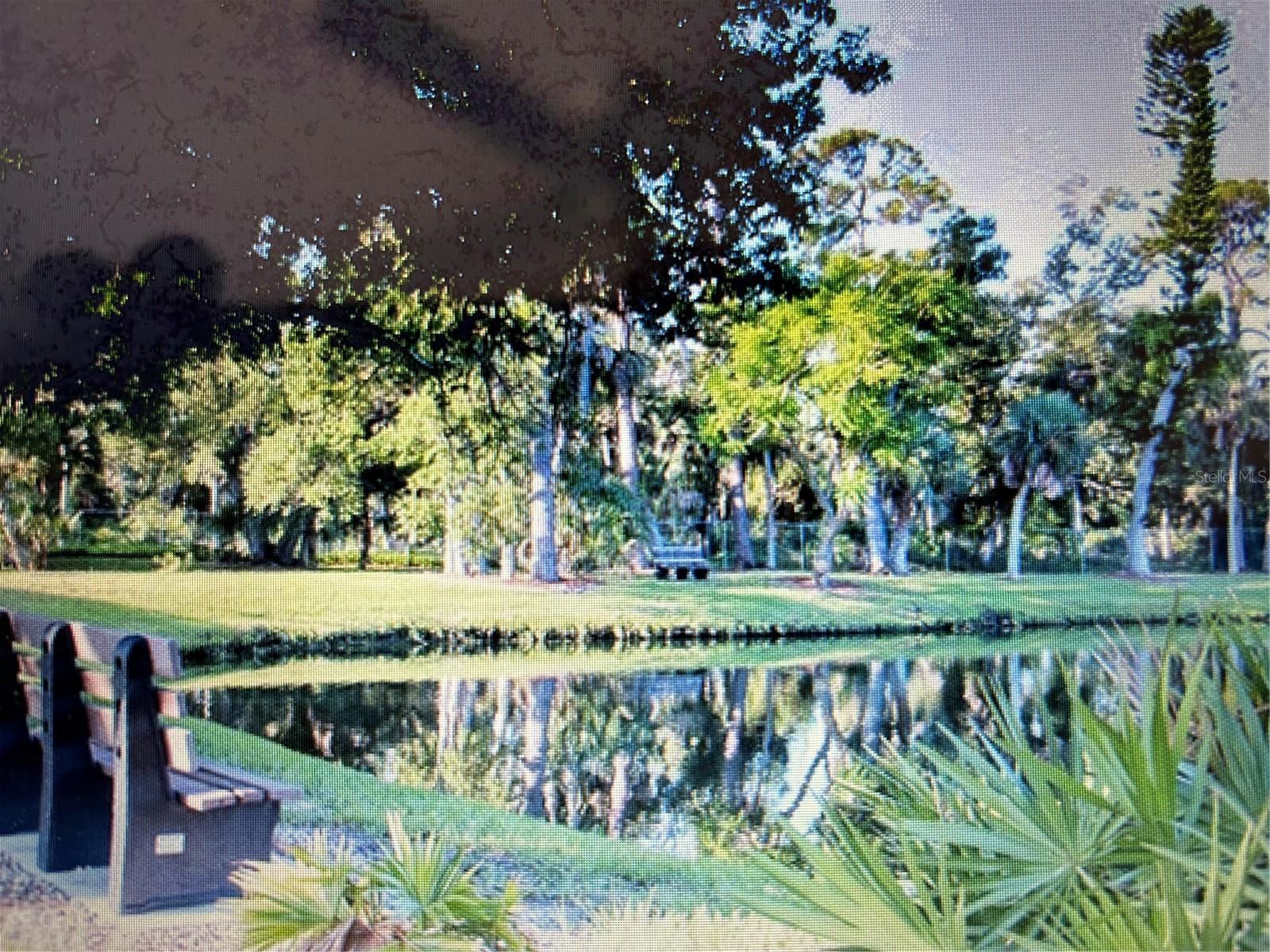 ALAMEDA ISLES - Residential