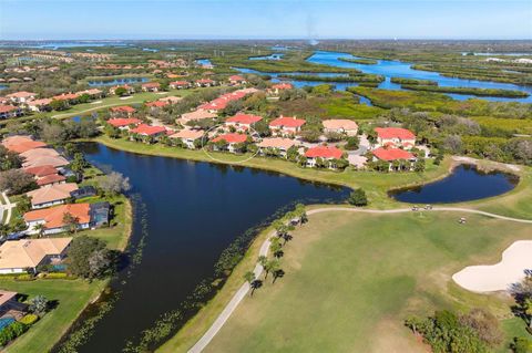 A home in BRADENTON