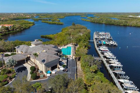 A home in BRADENTON