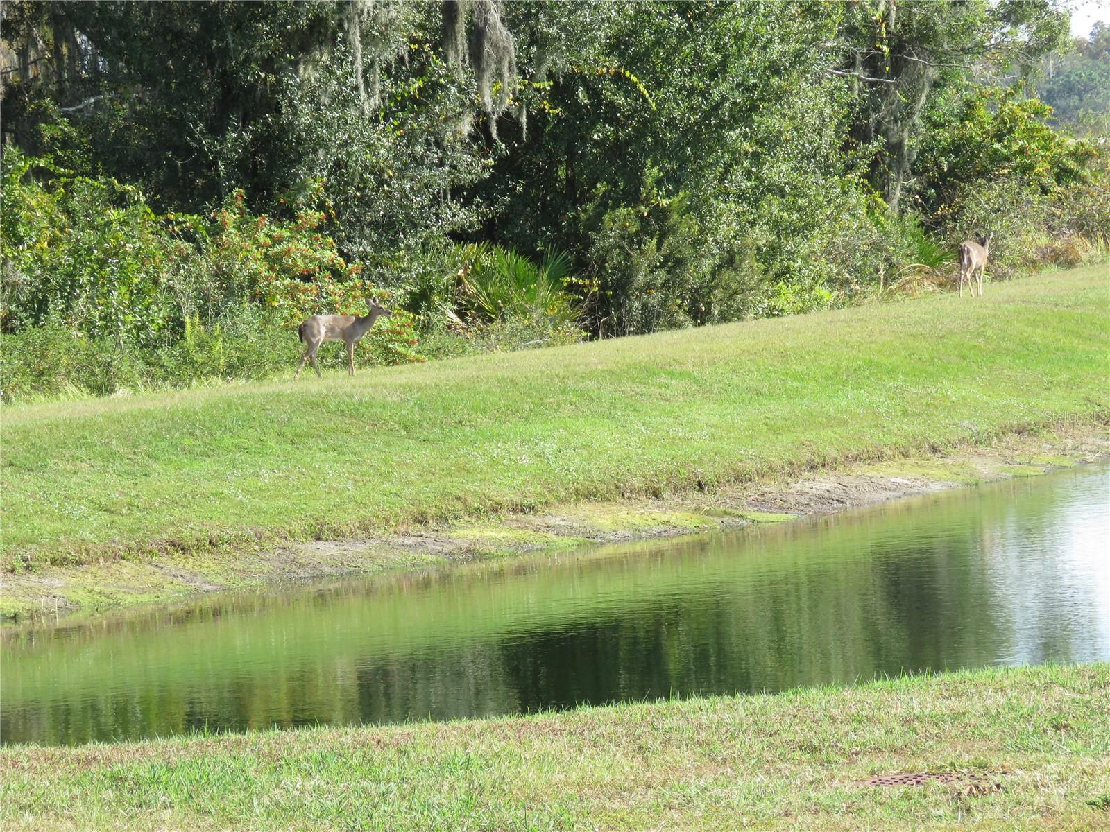 CYPRESS MILL PH 3 - Residential