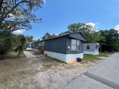 Tiny photo for 30 Wafford Street, Umatilla, FL 32784 (MLS # O6395218)