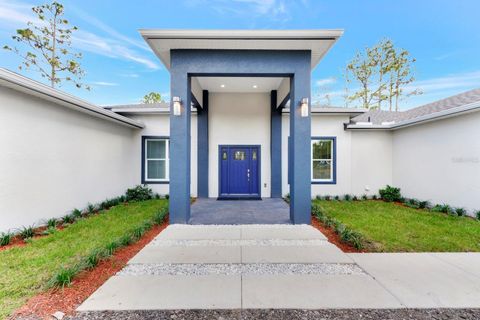 A home in ORLANDO