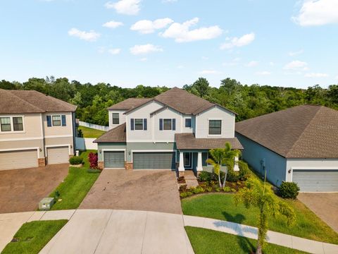 A home in RIVERVIEW