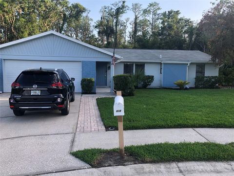 818 SATINLEAF AVENUE OLDSMAR FL 34677