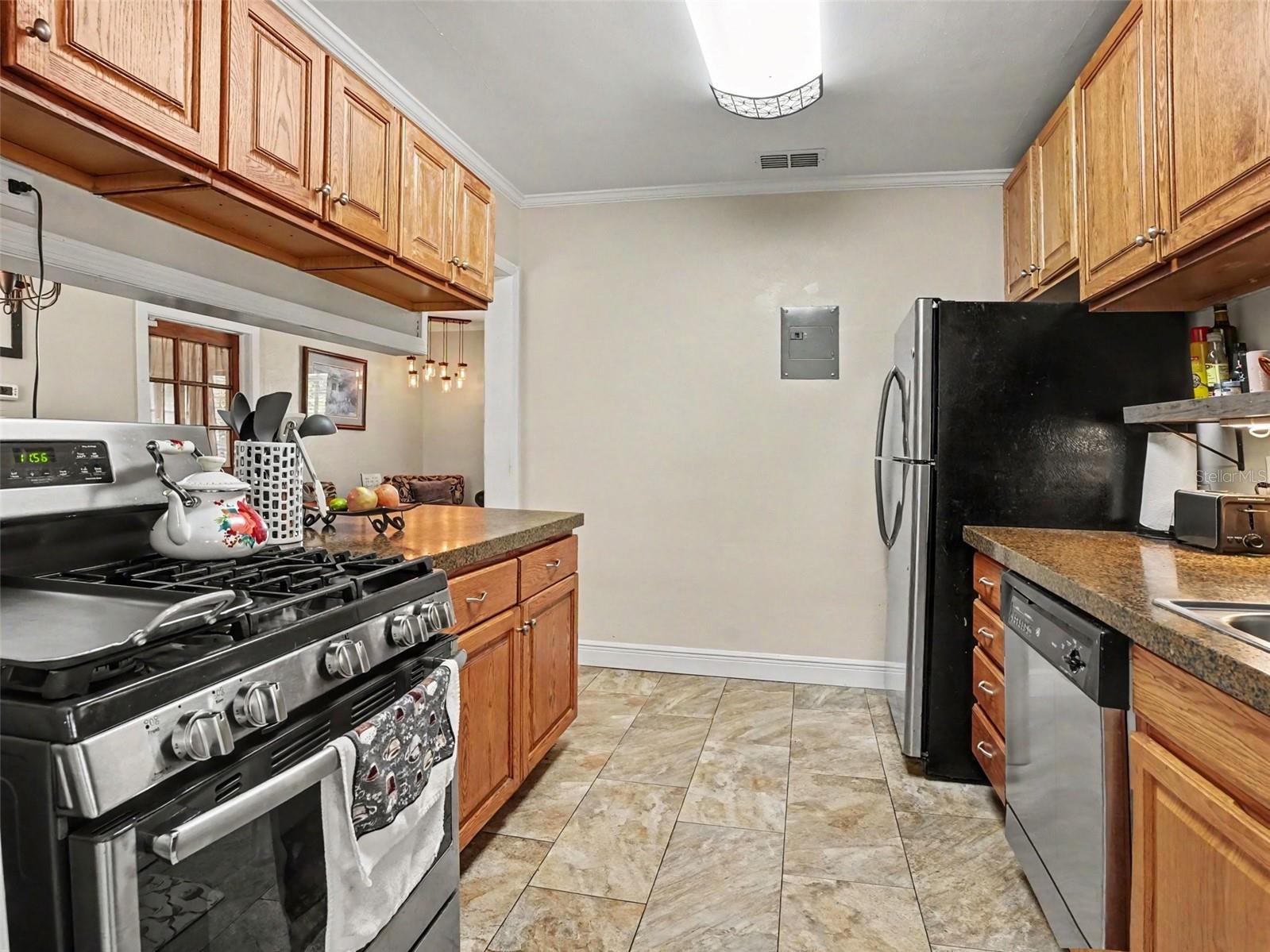 MOUNT DORA ORANGE HILL - Residential