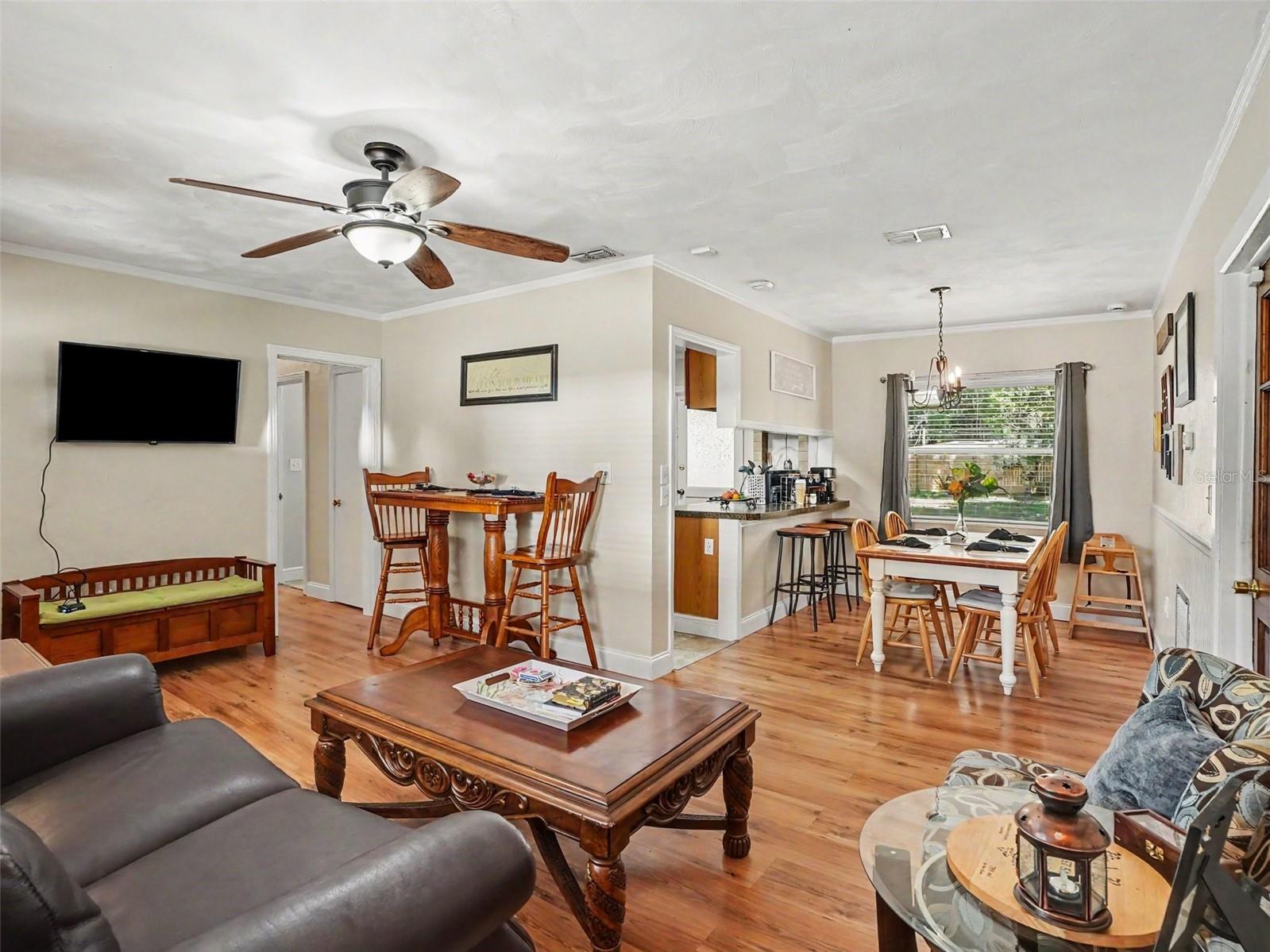 MOUNT DORA ORANGE HILL - Residential