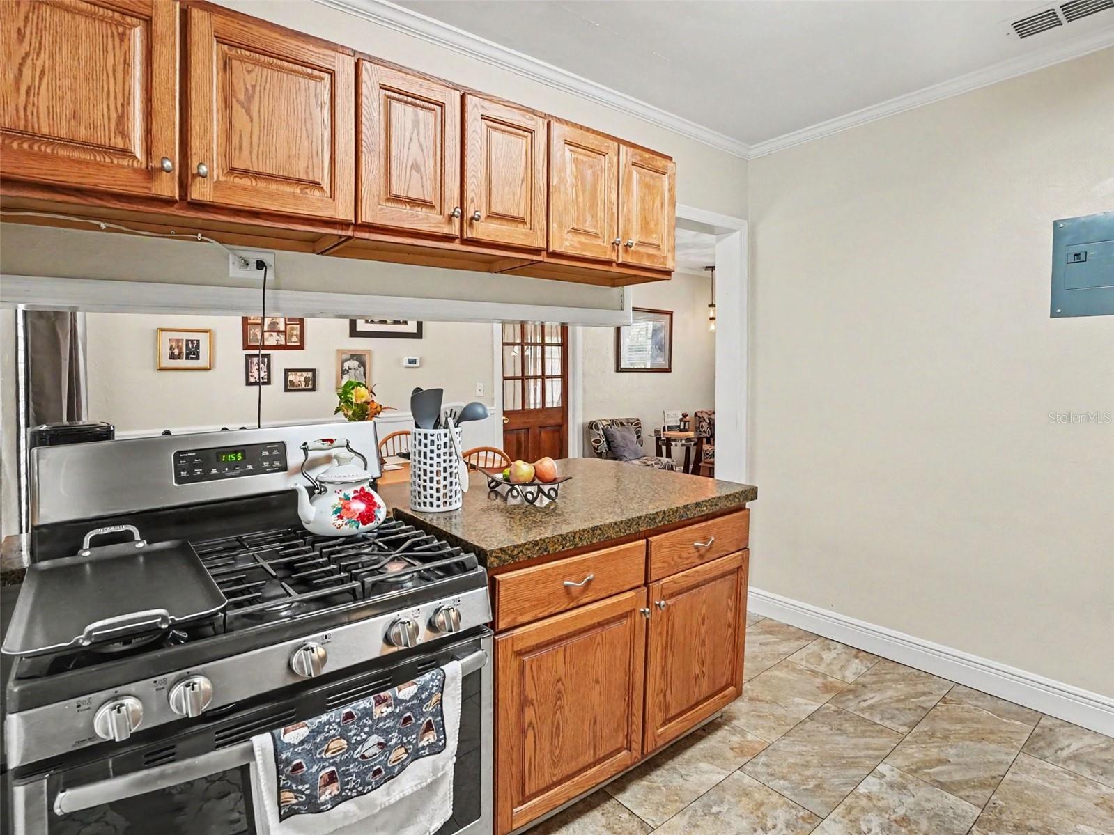 MOUNT DORA ORANGE HILL - Residential