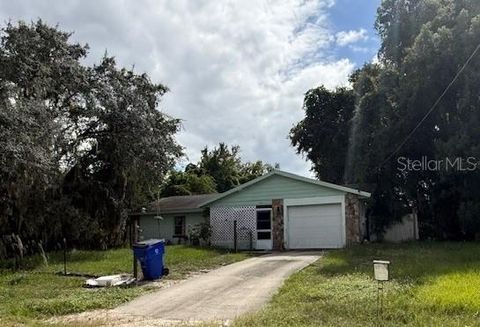 Photo of 2871 W Albatross Road, Avon Park, FL 33825 (MLS # S5137749)