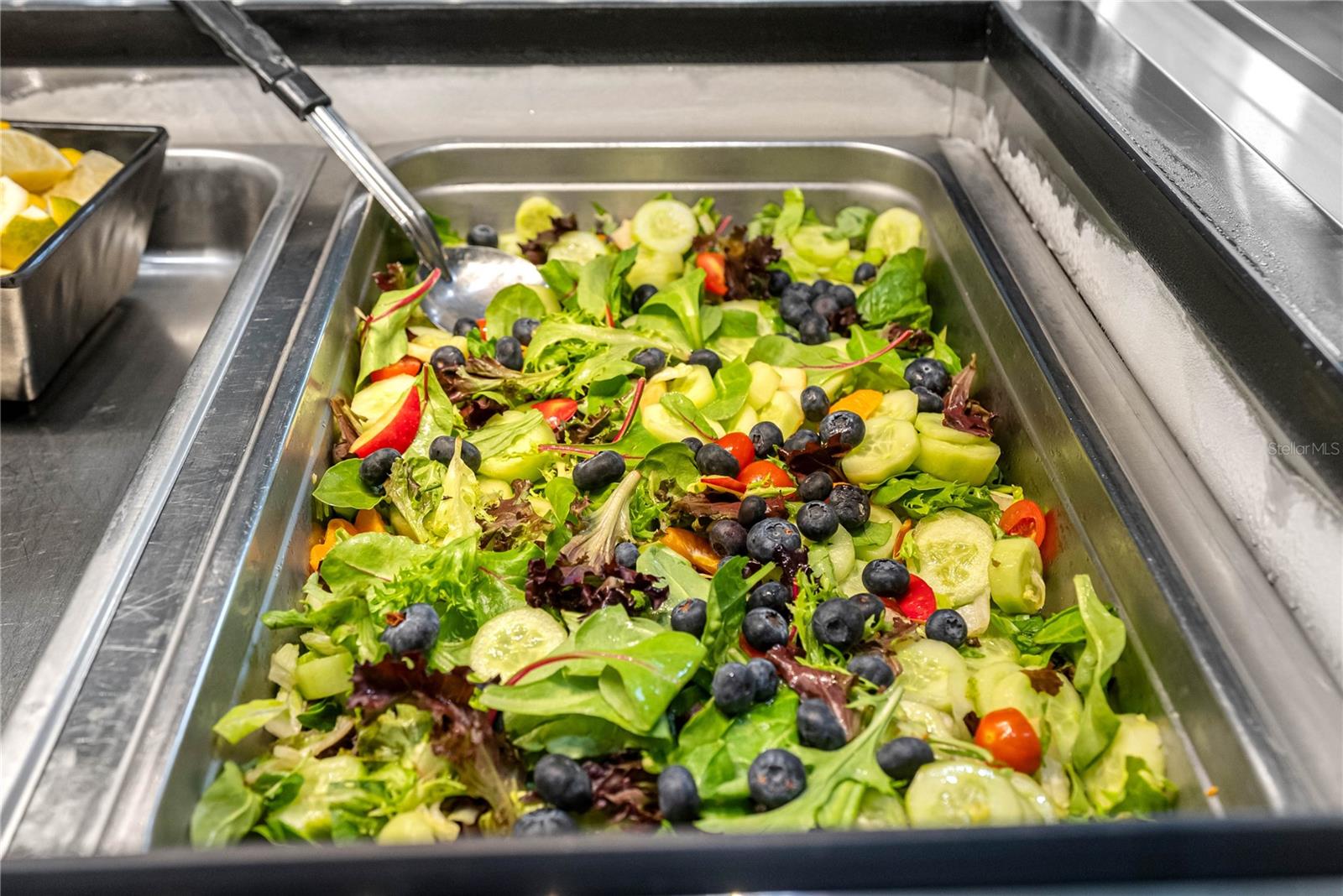 ANAND VIHAR - Residential