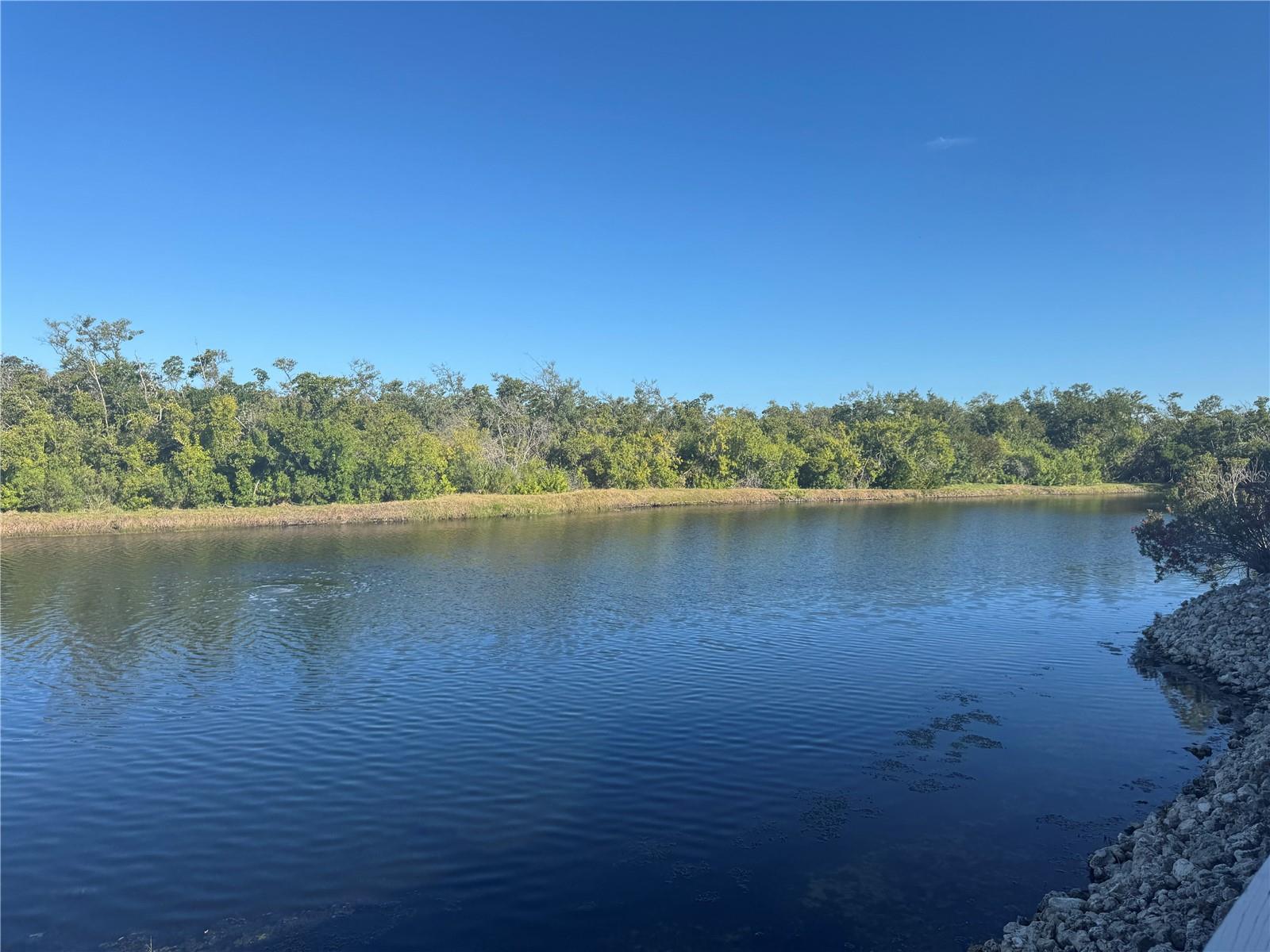 PERICO BAY CLUB - Residential