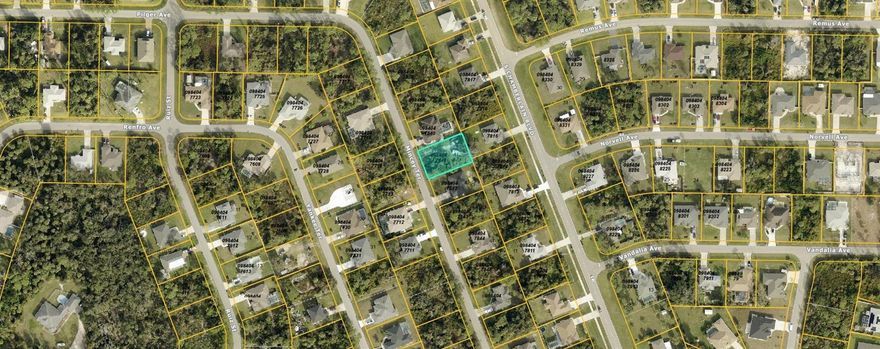 GREAT LOT located in prime location!!!!Discover the perfect opportunity to own a piece of North Port, FL, in the heart of a rapidly expanding area. Great vacant lot near famous Warm Mineral Spring Lake, a local gem and  Wallen Park downtown area and the highly anticipated new Costco store. Great opportunity to buy and build in the heart of fast growing area of North Port, FL. This property is perfectly situated near shopping centers, a variety of dining options, beautiful parks, stunning beaches, and world-class golf courses. Easy access to U.S 41 and Interstate 75 for smooth commuting and travel. Enjoy the freedom of no HOA, Deed Restrictions, or CDD fees, making it an ideal canvas for your dreams. Don't let this incredible property pass you by. Seize the moment to invest in this exceptional opportunity. Your dream home or investment project awaits!