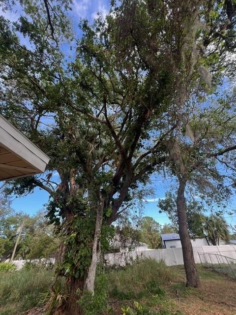 A home in PORT CHARLOTTE