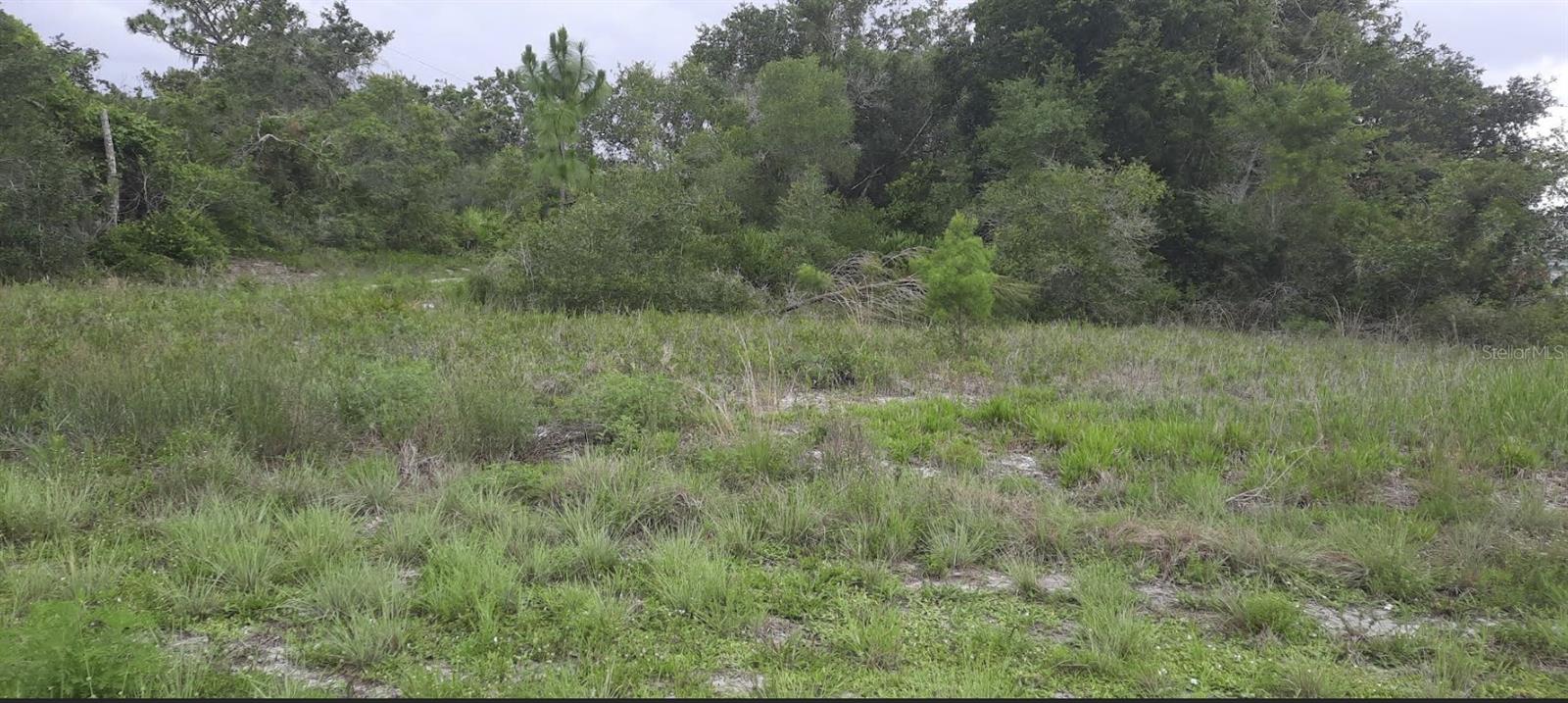 INDIAN LAKE ESTATES - Land