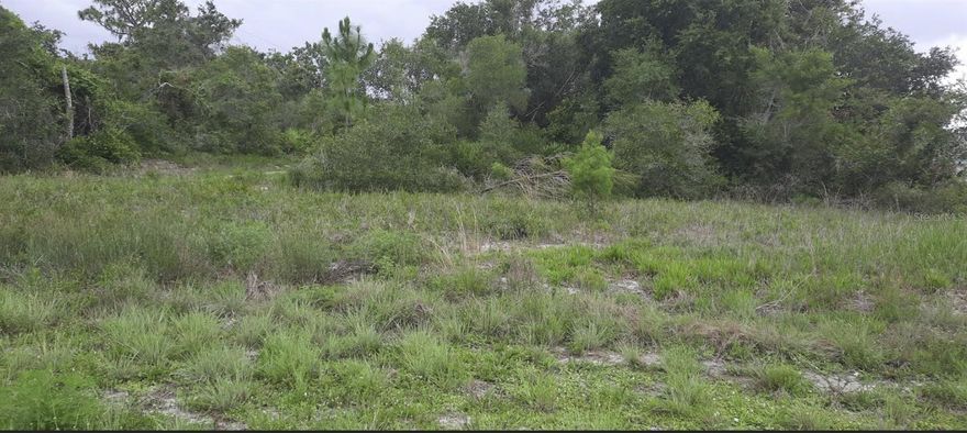 This property is zoned commercial and ready for you to build. For zoning and future land use contact Polk County the Municipality where the parcel is located. The lot is in the lake community of Indian Lake Estates, a golfing, fishing and boating community in the center of Florida. Indian Lake Estates is about 20 miles east of Lake Wales. The community surrounds the 7,500 acre lake locally known as Lake Walk In Water, nationally known for its fishing and considered to be one of the best bass fishing lakes in all Florida. The lake has a beach, boat ramp, boat marina and the longest freshwater Fishing pier in the State of Florida. The pavilion is located at the front of the pier and is complete with propane grills and covered picnic tables. The community amenities include an 18-hole golf course, basketball and tennis courts, 23, 000 sq.ft. clubhouse, cafe, post office, churches, library, fitness room and pro shop. If you love nature and the peace and quiet of the country you're in luck. Wildlife is plentiful! You will see deer, raccoon, turkey, turtles, cranes and various species of birds that call Indian Lake Estates their home. Orlando and Disney is only about an hour's drive north and Tampa, Busch Gardens, and the Gulf's pristine beaches only a little over an hour west. Historic Bok Tower, a National Landmark, is in nearby Lake Wales. The Westgate River Ranch Resort and Rodeo is just six miles away. An authentic Florida dude ranch and full-service resort offering guests the opportunity to experience "Old Florida." Encompassing 1,700 beautiful acres, Westgate River Ranch features horseback riding, wildlife airboat and swamp buggy rides, Saturday night championship rodeo, trap/skeet range, nature hikes, petting farm, marina, Adventure Park with zip line and rock climbing wall, Westgate Smokehouse Grill and River Ranch Saloon and much more. Cowboy-themed accommodations range from ranch-themed lodge guestrooms and deluxe lodge suites to spacious cottages, two-bedroom cabins, Glamping and Luxe Teepees. Come out and see how great life can be at Indian Lake Estates! Polk County's best kept secret!