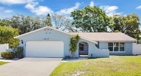 3217 CASTLE OAK AVENUE ORLANDO FL 32808