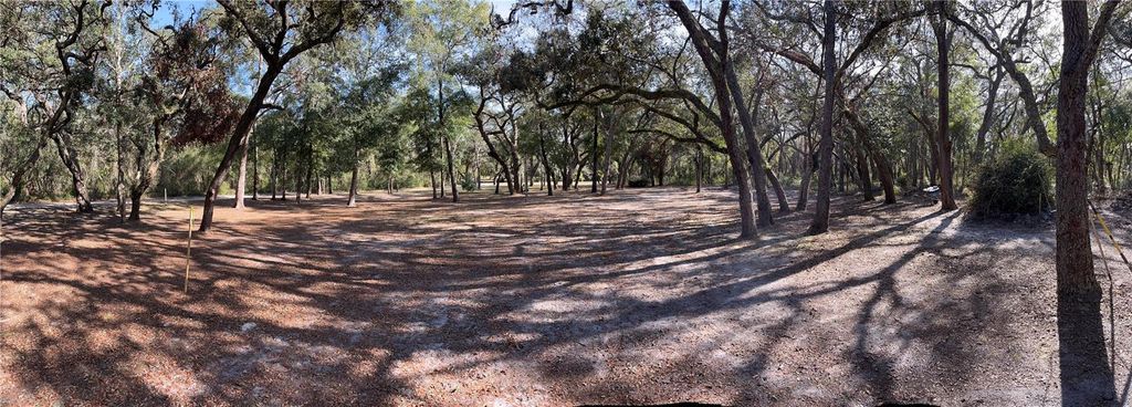 Photo of 16347 Albright Road, Spring Hill, FL 34610 (MLS # W7872909)