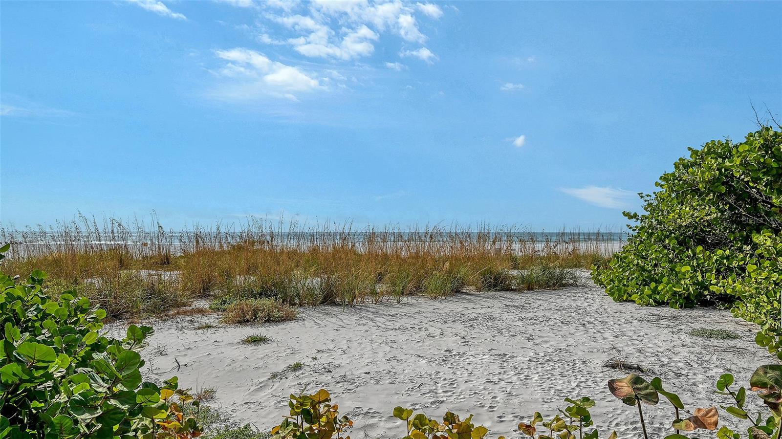 HALCYON SIESTA KEY - Residential