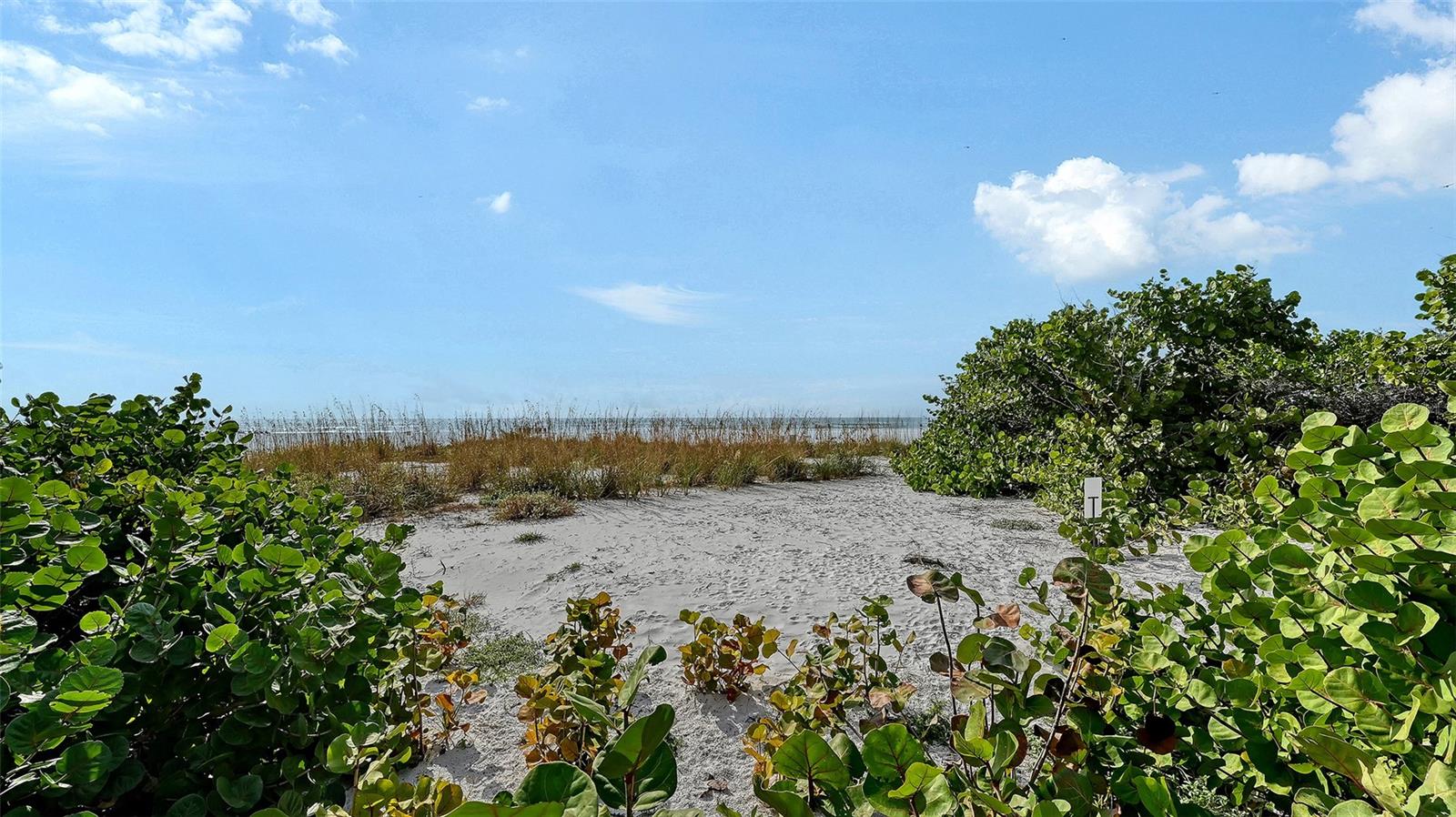 HALCYON SIESTA KEY - Residential