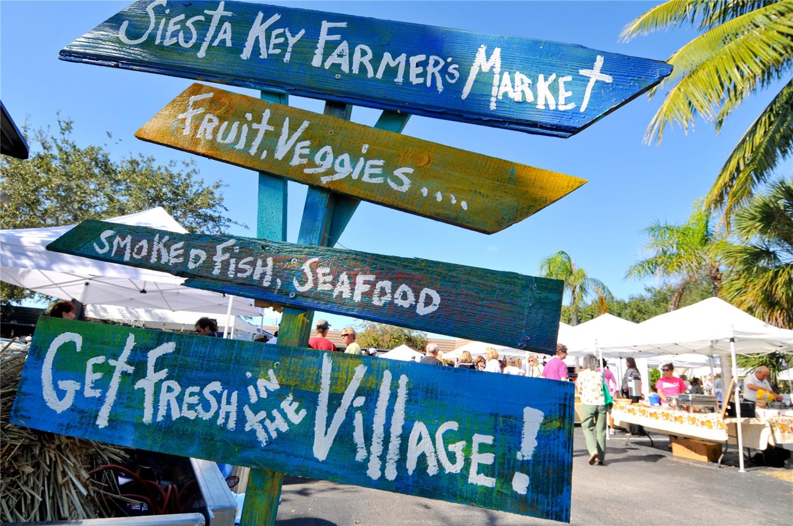 HALCYON SIESTA KEY - Residential