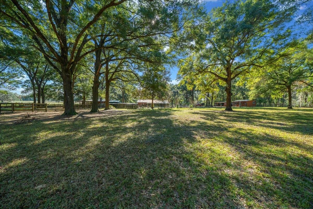 OCALA RIDGE - Residential