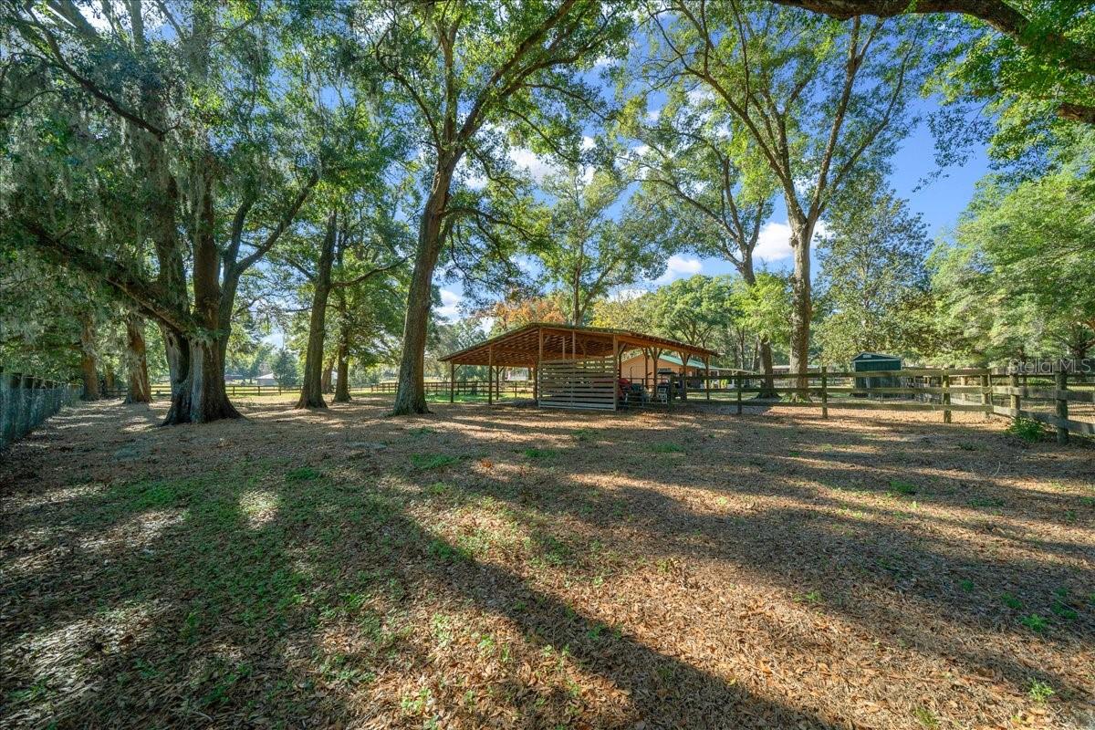 OCALA RIDGE - Residential