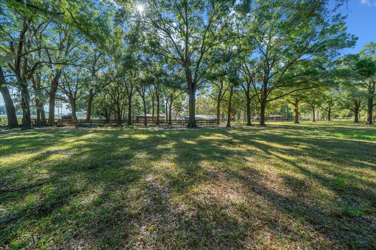 OCALA RIDGE - Residential