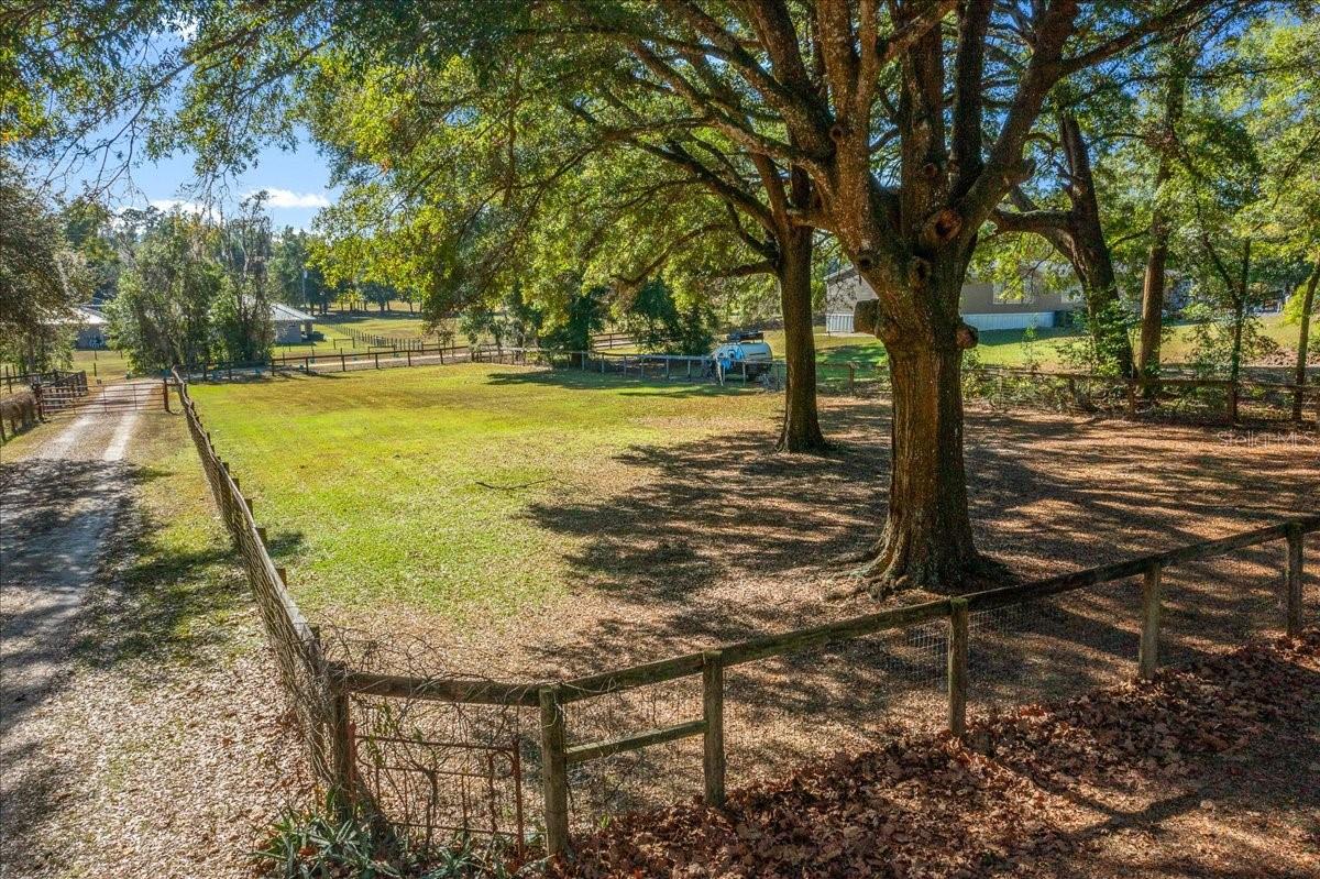 OCALA RIDGE - Residential