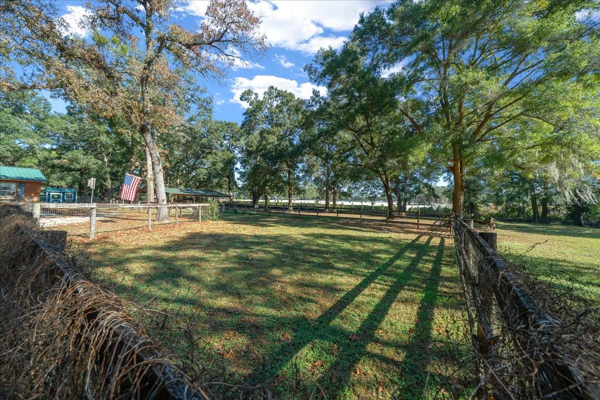 OCALA RIDGE - Residential