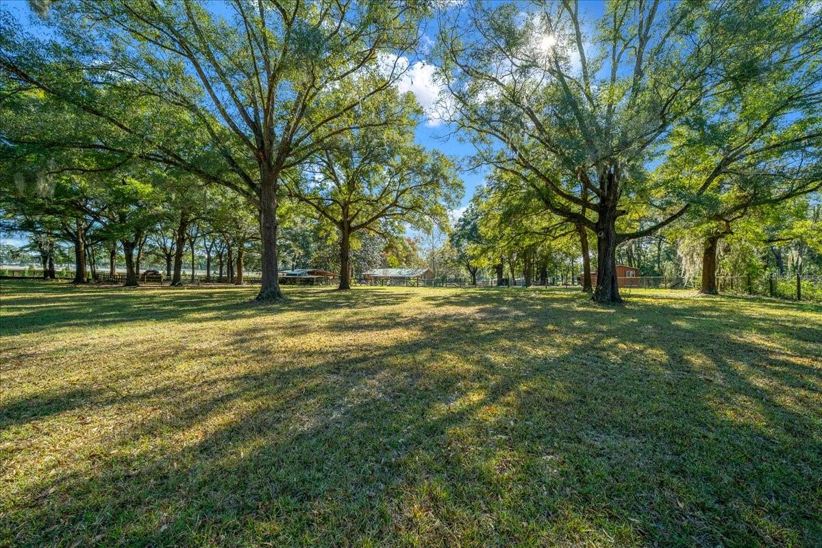 OCALA RIDGE - Residential