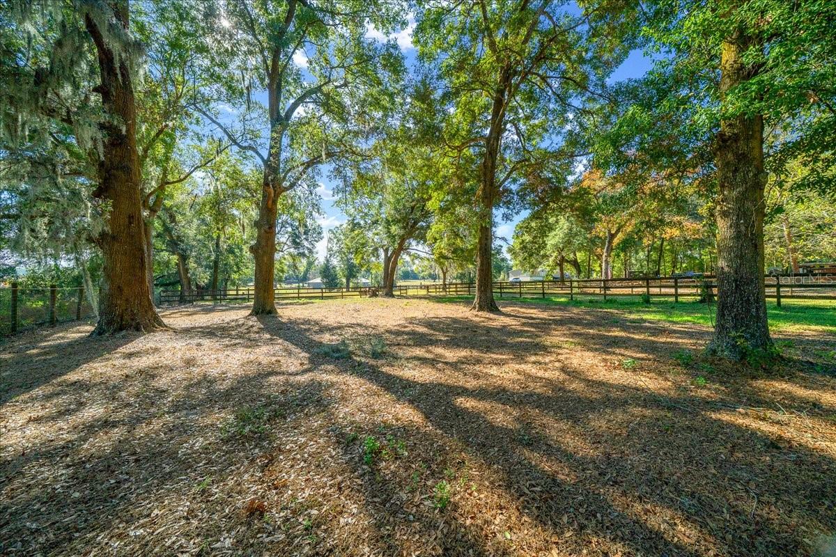 OCALA RIDGE - Residential