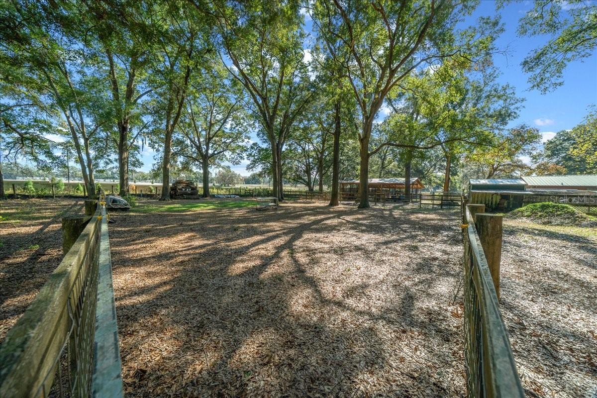 OCALA RIDGE - Residential