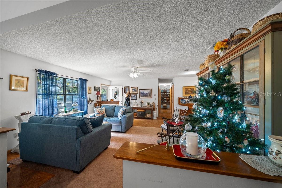 OCALA RIDGE - Residential